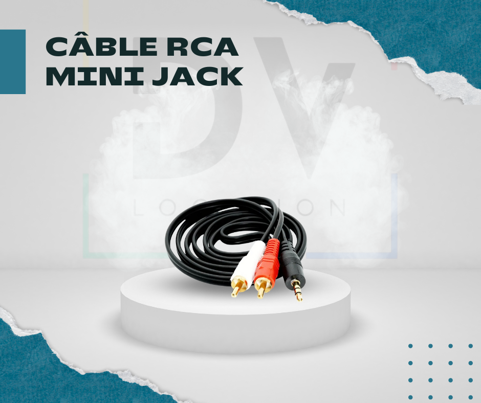 Câble RCA mini Jack